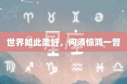 世界如此美好，何须惊鸿一瞥
