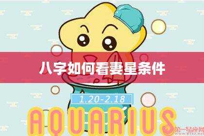 八字如何看妻星条件