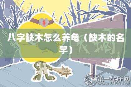 八字缺木怎么养龟（缺木的名字）