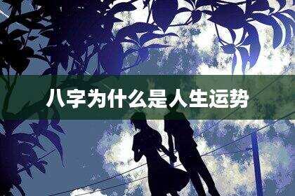 八字为什么是人生运势