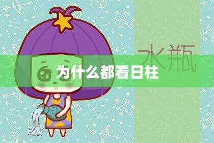 为什么都看日柱
