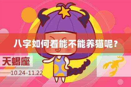八字如何看能不能养猫呢？