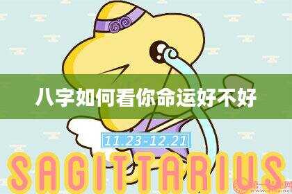 八字如何看你命运好不好