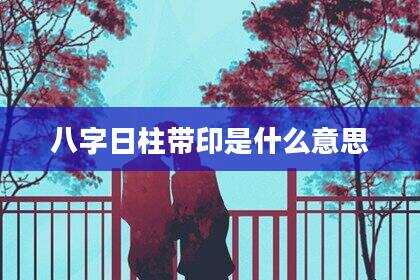 八字日柱带印是什么意思