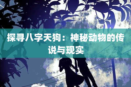 探寻八字天狗：神秘动物的传说与现实
