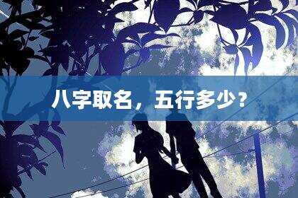 八字取名，五行多少？