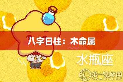 八字日柱：木命属