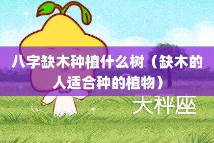 八字缺木种植什么树（缺木的人适合种的植物）
