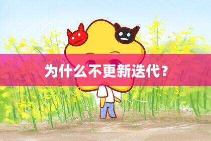 为什么不更新迭代？