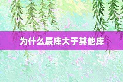 为什么辰库大于其他库