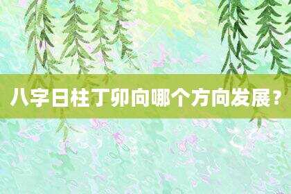 八字日柱丁卯向哪个方向发展？