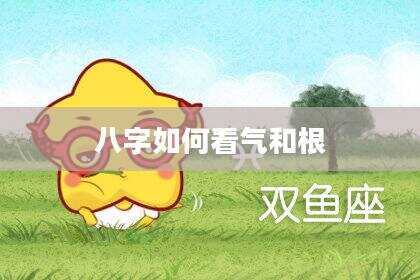 八字如何看气和根