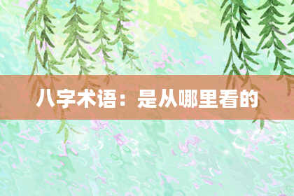 八字术语：是从哪里看的