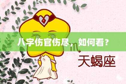 八字伤官伤尽，如何看？