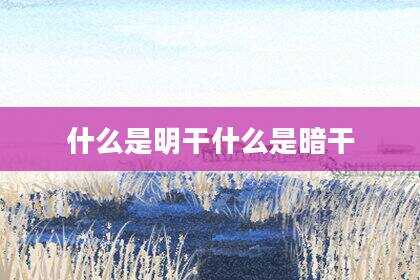什么是明干什么是暗干
