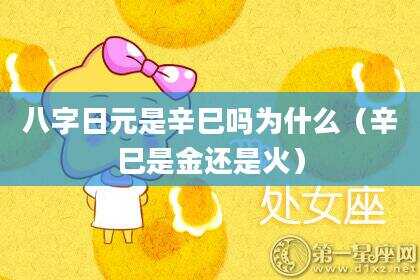 八字日元是辛巳吗为什么（辛巳是金还是火）