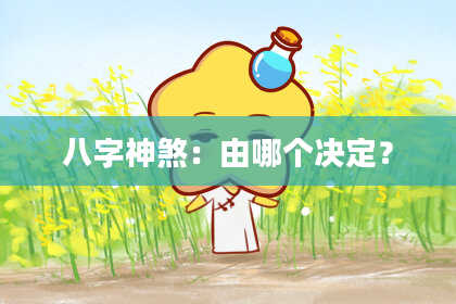 八字神煞：由哪个决定？