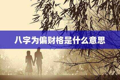 八字为偏财格是什么意思