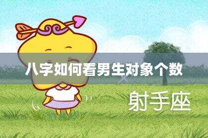 八字如何看男生对象个数