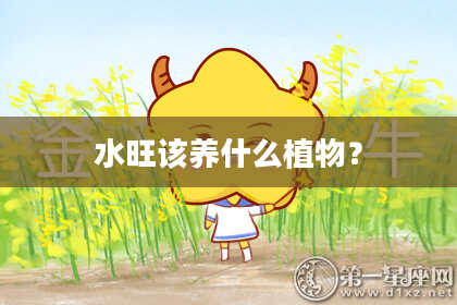 水旺该养什么植物？