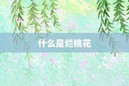 什么是烂桃花