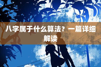 八字属于什么算法？一篇详细解读