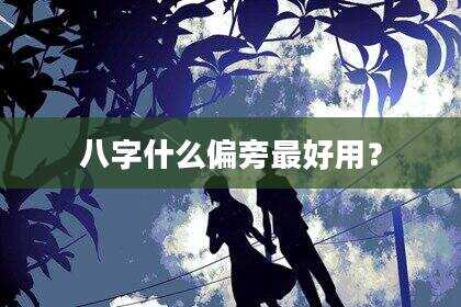 八字什么偏旁最好用？