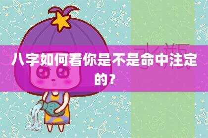 八字如何看你是不是命中注定的？