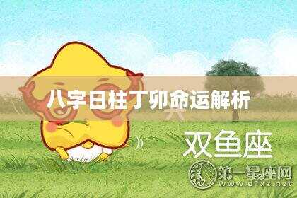八字日柱丁卯命运解析