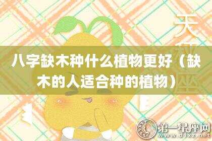 八字缺木种什么植物更好（缺木的人适合种的植物）
