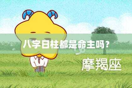 八字日柱都是命主吗？