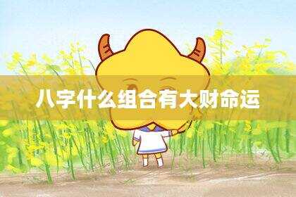 八字什么组合有大财命运