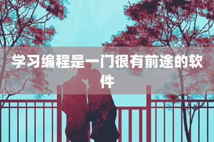 学习编程是一门很有前途的软件