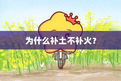 为什么补土不补火？