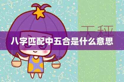 八字匹配中五合是什么意思