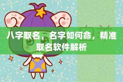 八字取名，名字如何命，精准取名软件解析