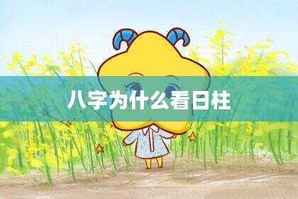八字为什么看日柱