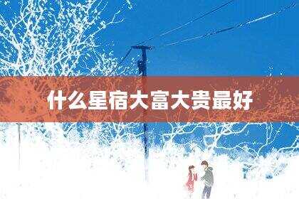 什么星宿大富大贵最好