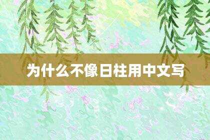 为什么不像日柱用中文写