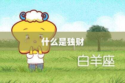 什么是独财