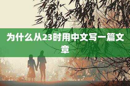为什么从23时用中文写一篇文章