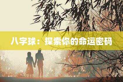 八字球：探索你的命运密码
