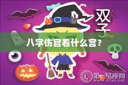 八字伤官看什么宫？