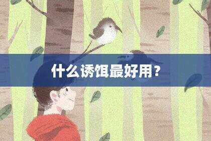 什么诱饵最好用？