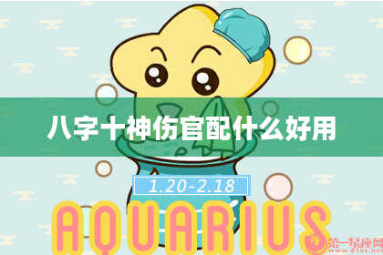 八字十神伤官配什么好用