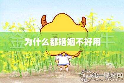 为什么都婚姻不好用