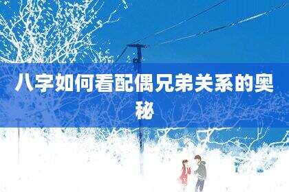 八字如何看配偶兄弟关系的奥秘
