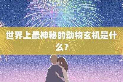 世界上最神秘的动物玄机是什么？