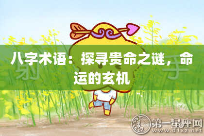 八字术语：探寻贵命之谜，命运的玄机