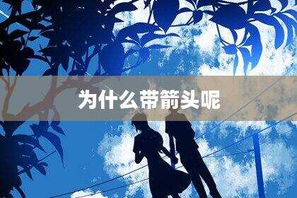 为什么带箭头呢